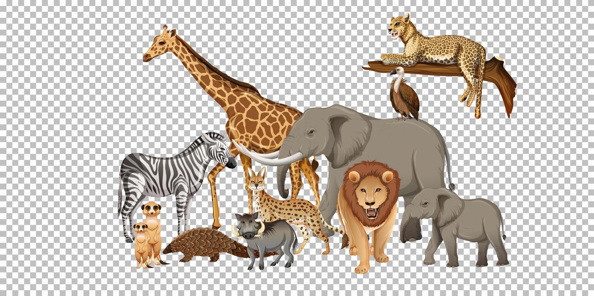 Group of wild african animals vector