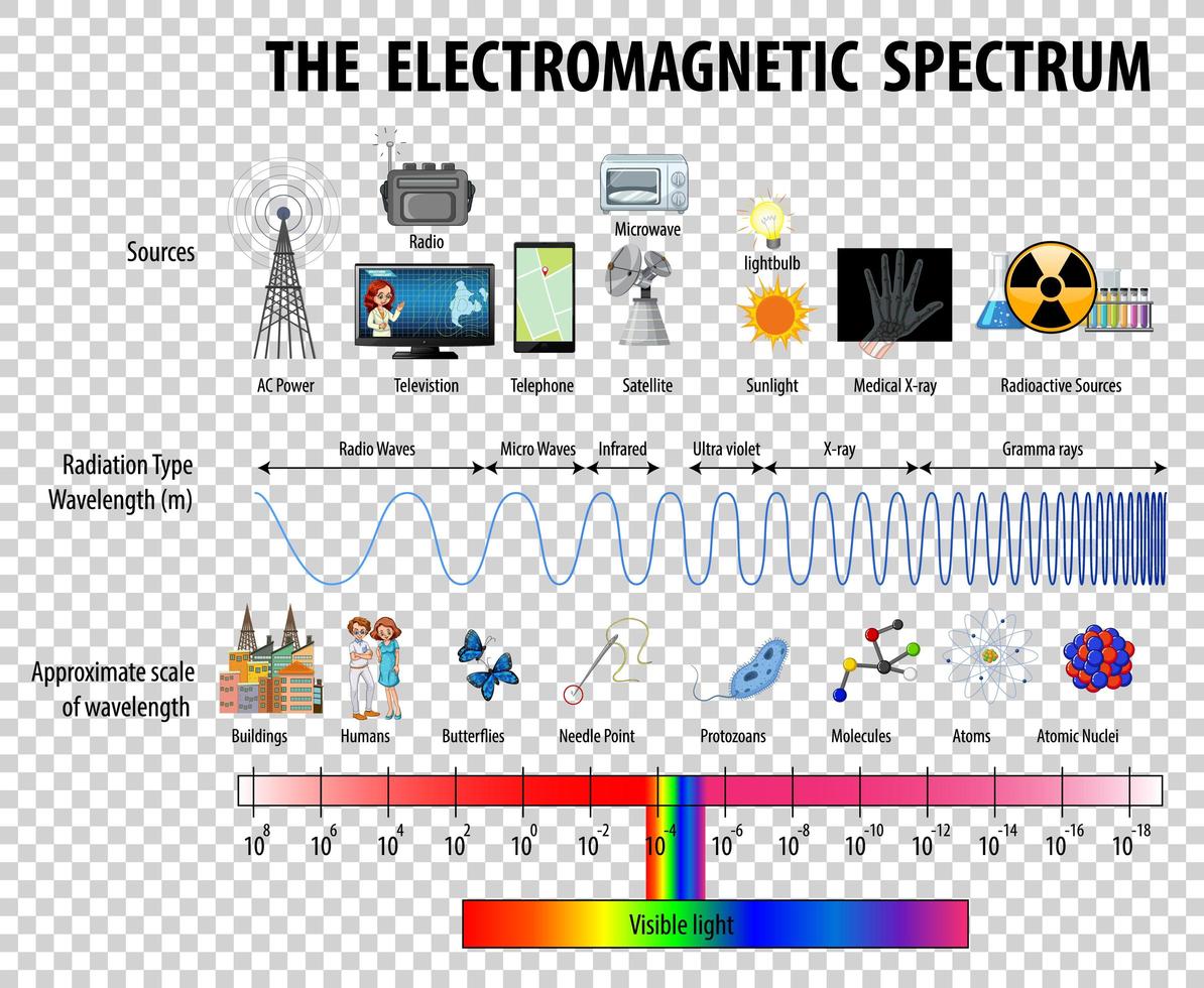 diagrama de espectro electromagnético de ciencia vector