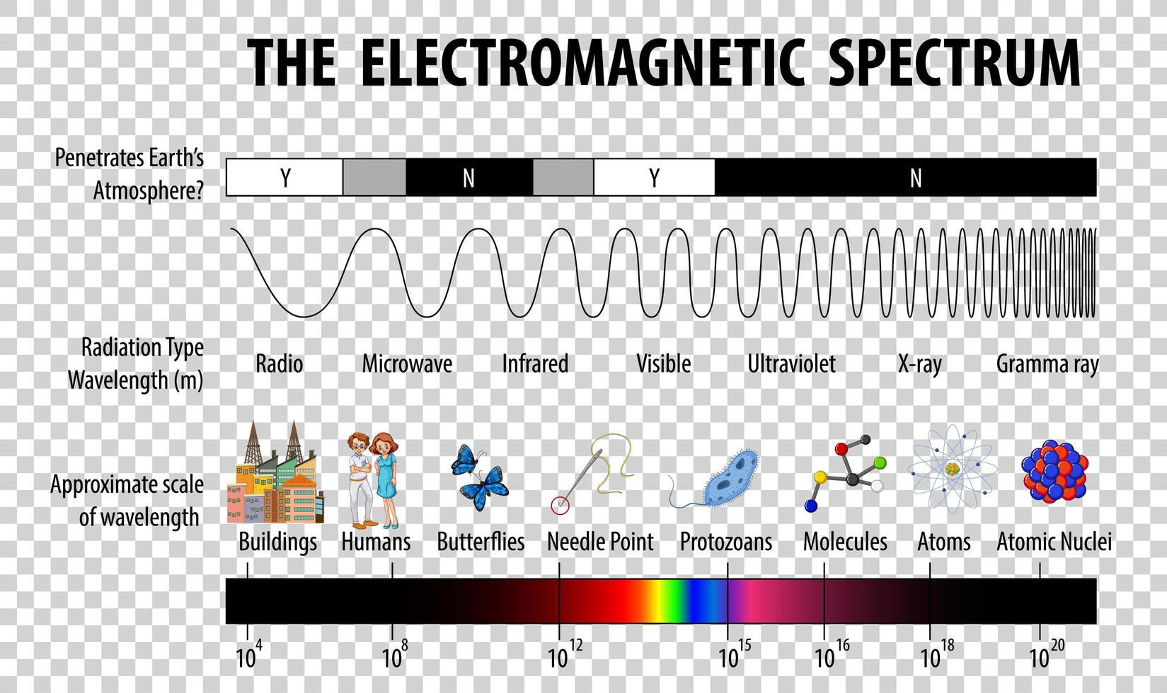 diagrama de espectro electromagnético de ciencia vector