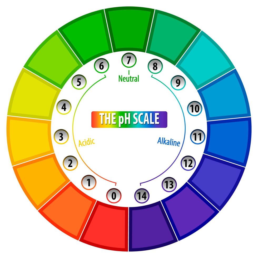 A pH scale on white background vector