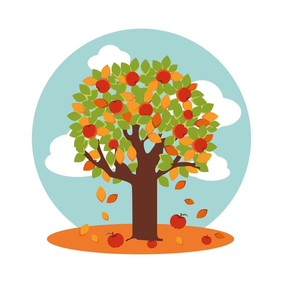 tree with apples in autumn vector