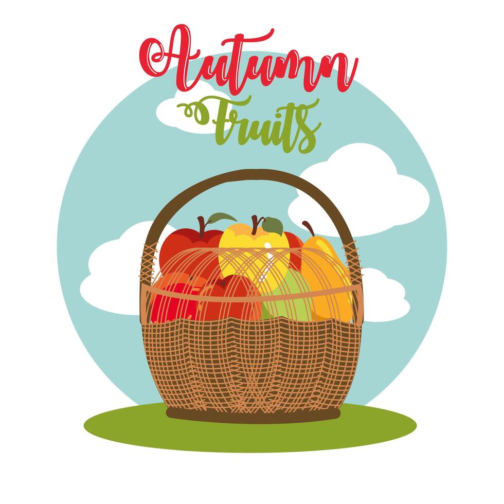 fruits of autumn in wicker basket vector