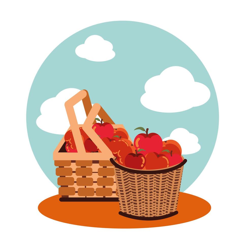 apples of autumn in wicker baskets vector