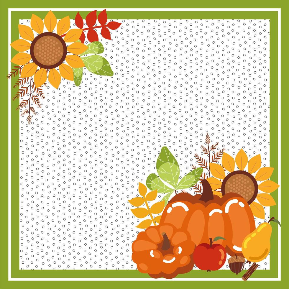 frame with pumpkins of autumn and sunflowers vector