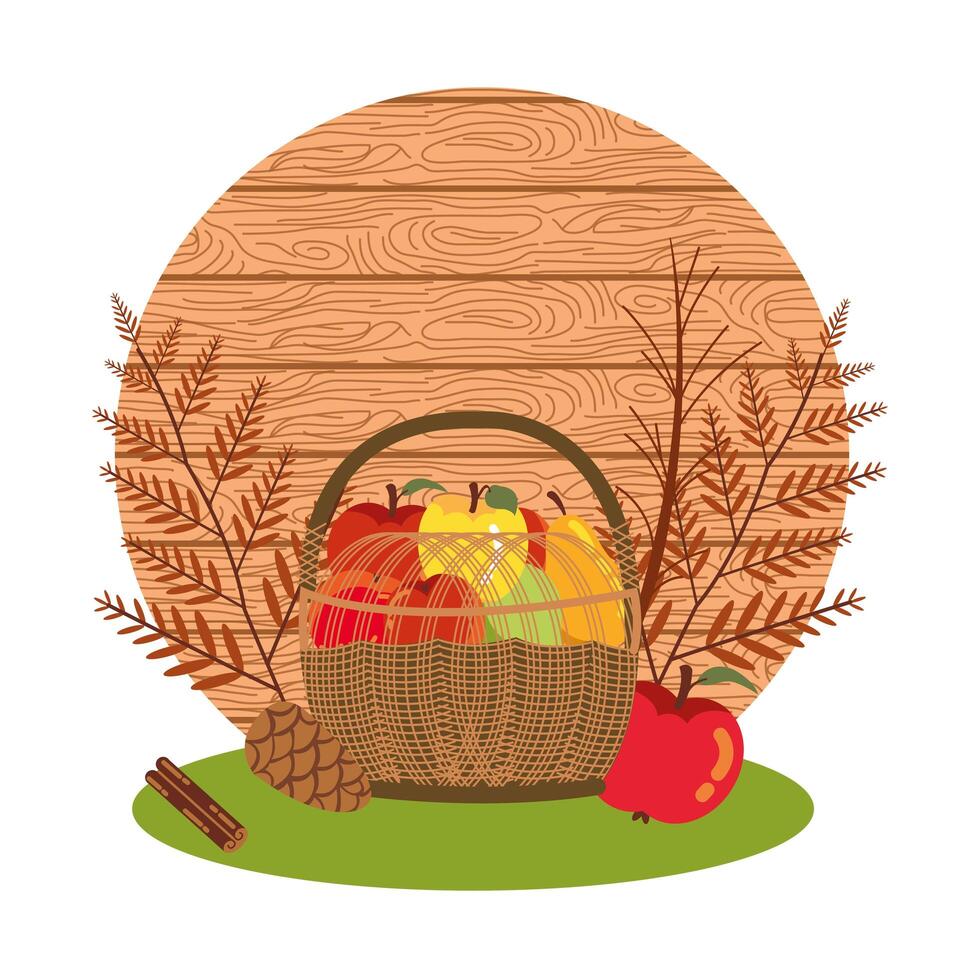 fruits of autumn in wicker basket vector