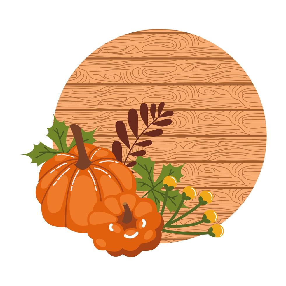 pumpkins of autumn with wooden background vector