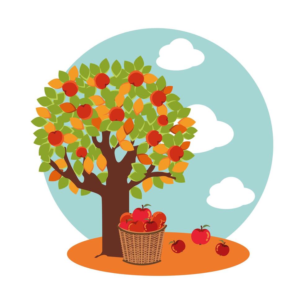 tree of apples in autumn with wicker asket vector