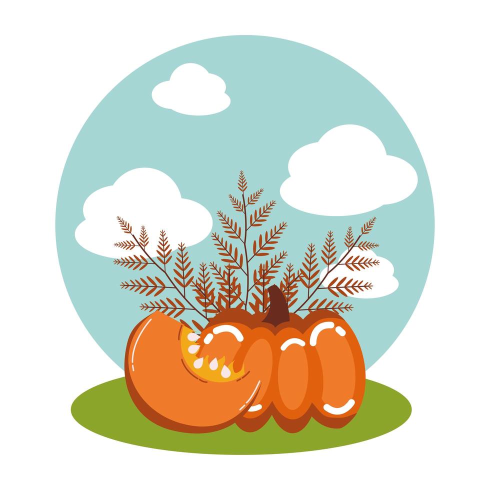 calabazas de otoño con ramas vector