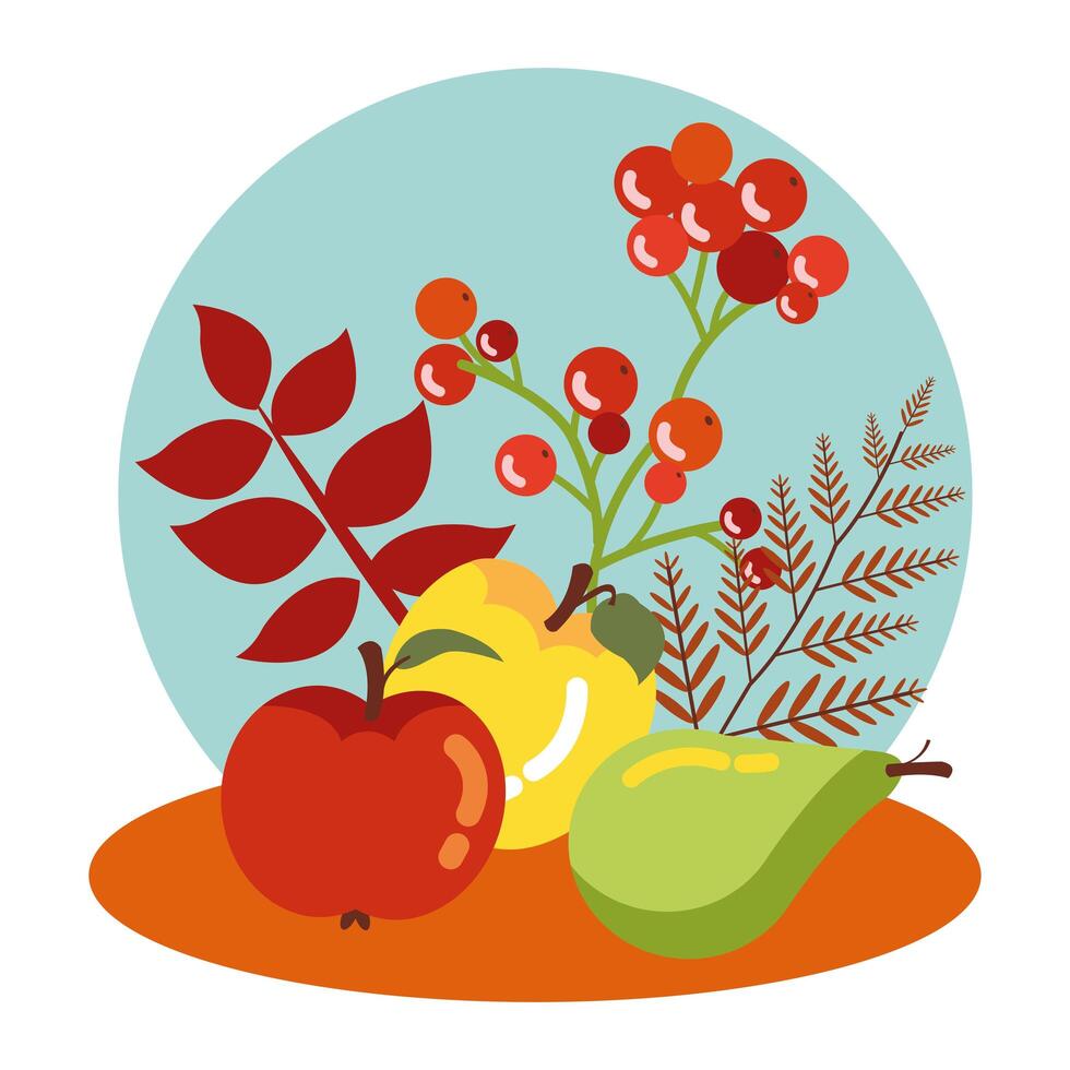 fruits of autumn with leaves decoration vector