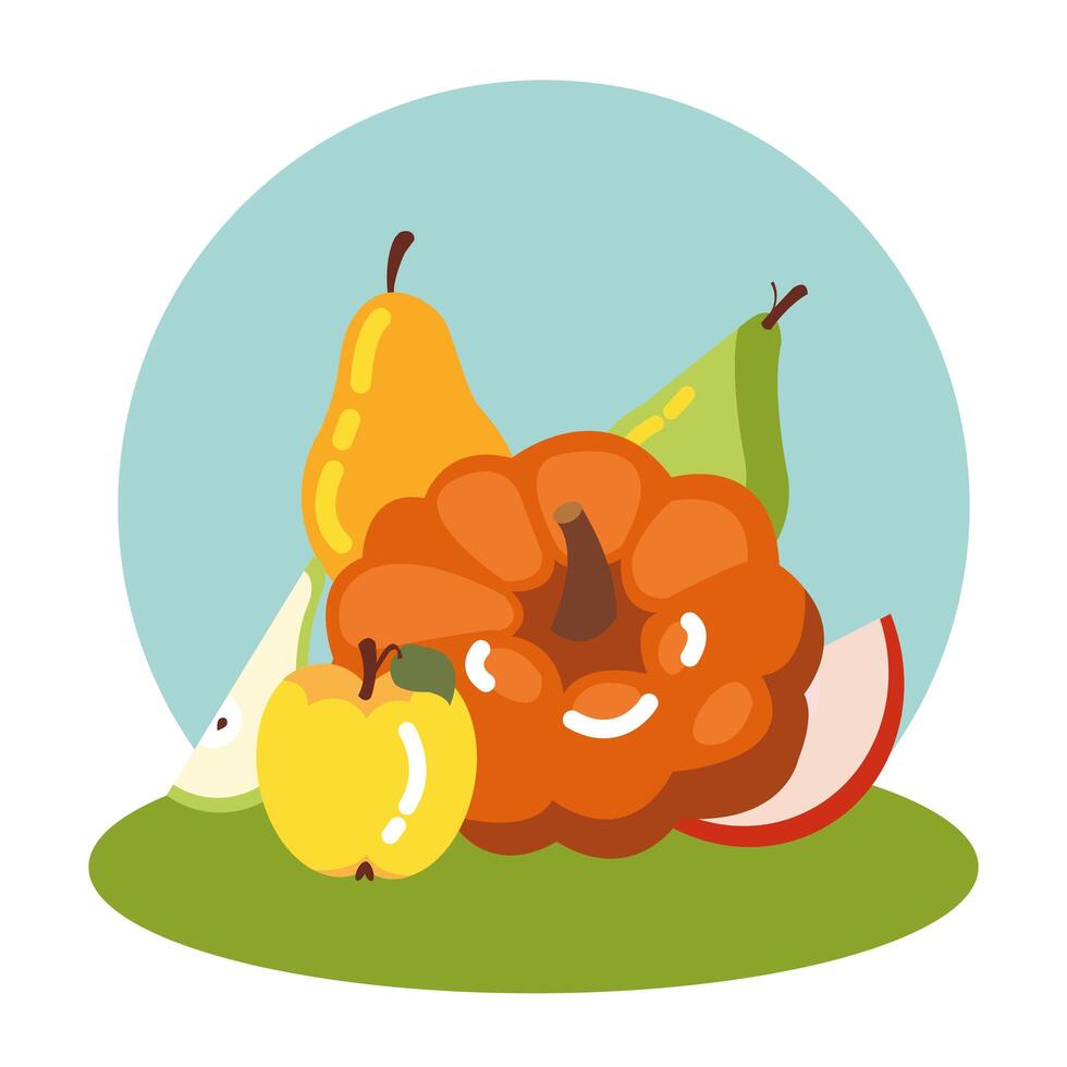 calabaza de otoño con frutas vector