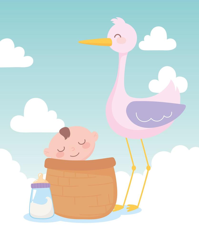 Baby shower, cigüeña y niño en canasta, celebración bienvenida recién nacido vector