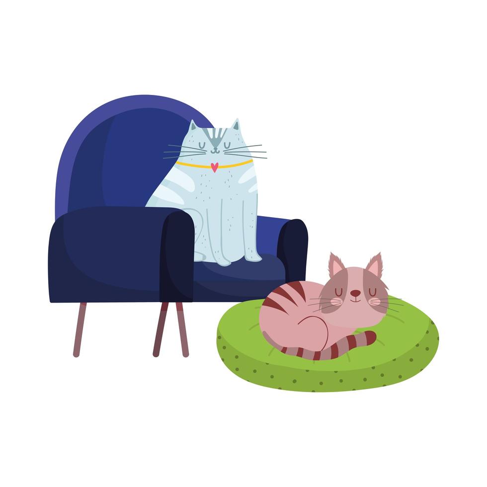 Mascotas descansando gatos en silla y cojín diseño aislado de dibujos animados vector