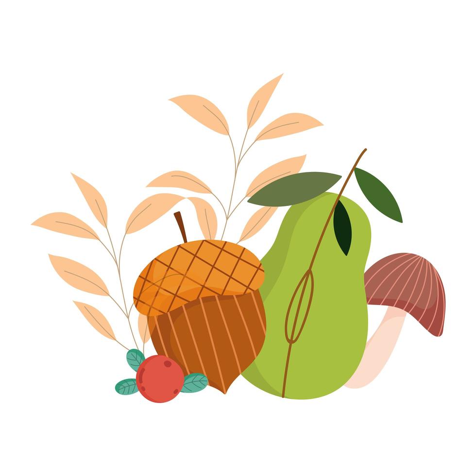 autumn acorn pear mushroom foliage isolated design white background vector