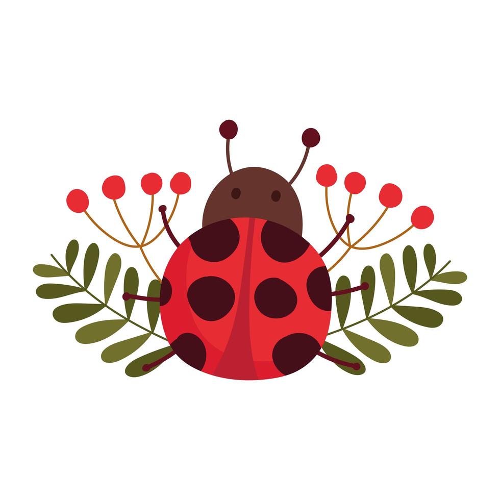 hello autumn, cute ladybug flowers branch leaves berries vector