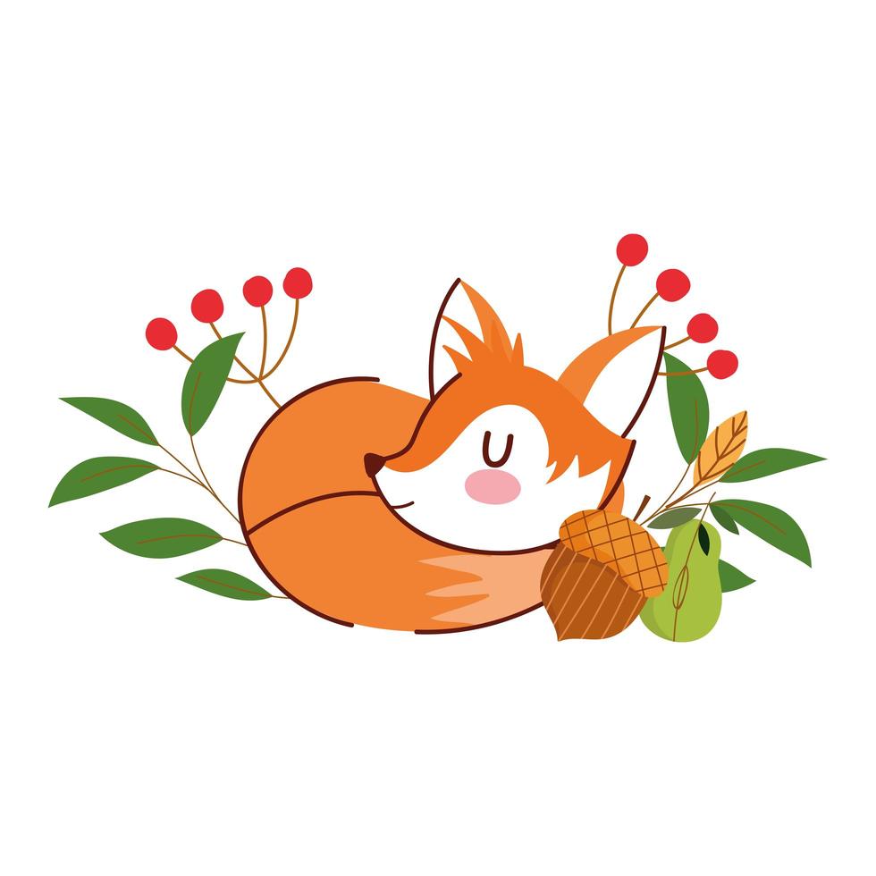 hello autumn, sleeping fox acorn flowers leaves foliage vector