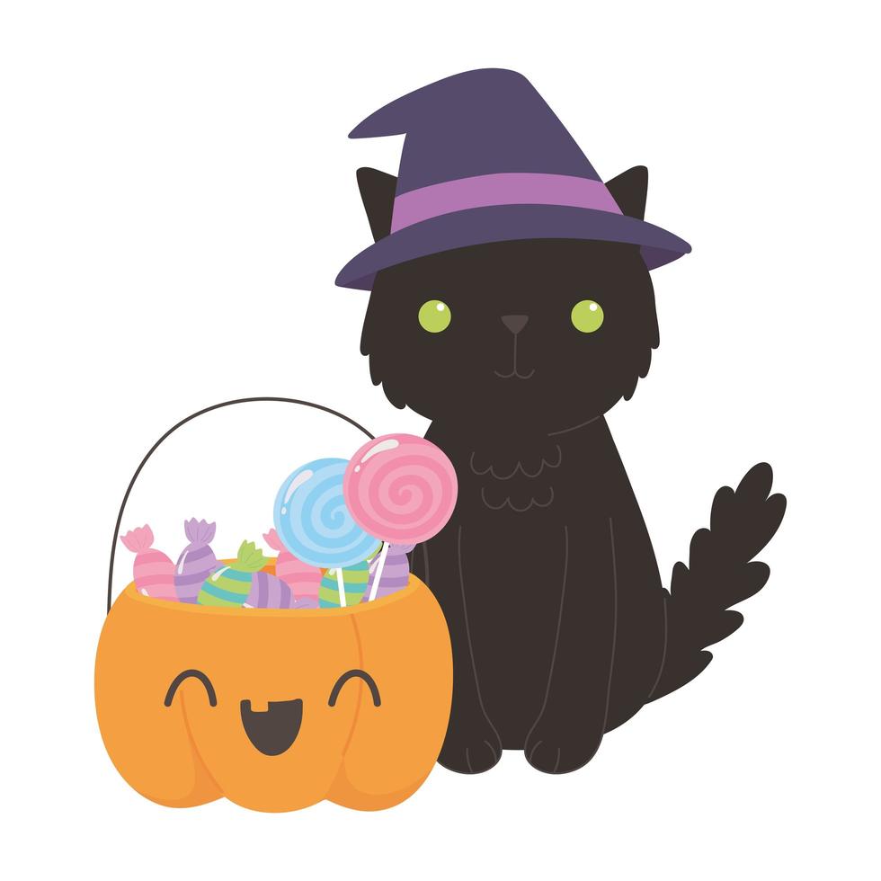 happy halloween, black cat with hat pumpkin and candies vector