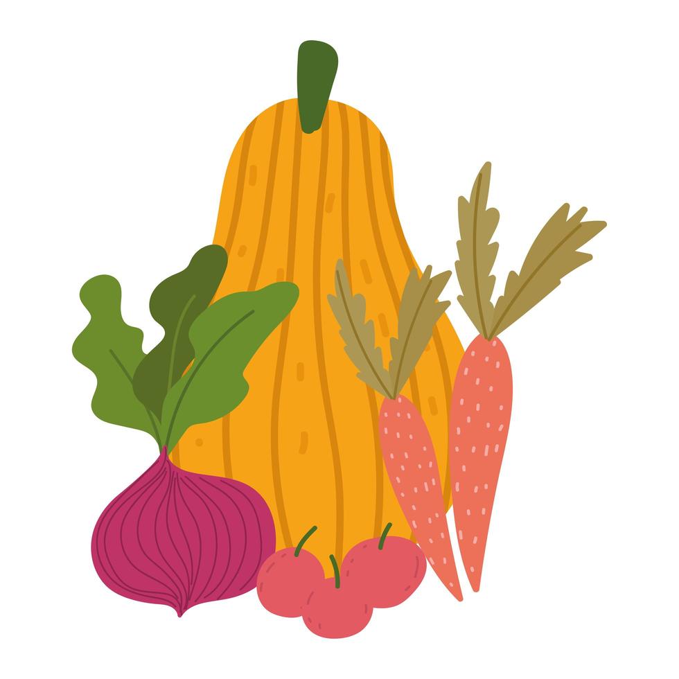 fresh vegetable fruits pumpkin apples carrots and beetroot isolated design vector