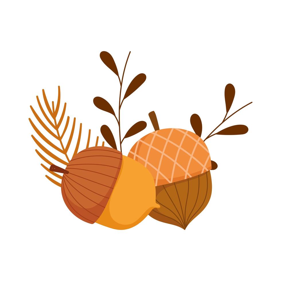 acorns and leaves clip art