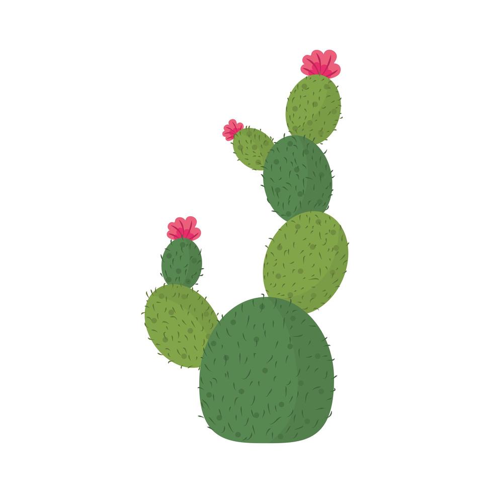 cactus o planta suculenta naturaleza dibujos animados icono aislado vector