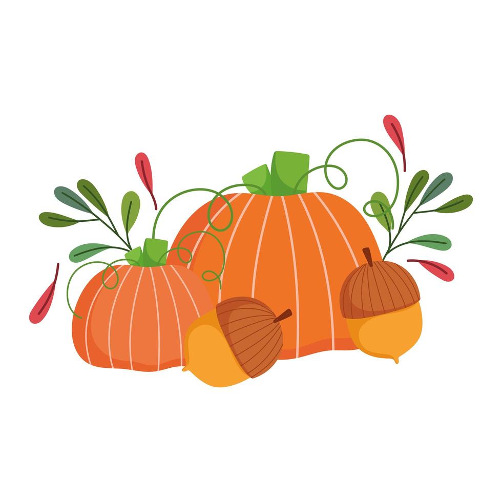 happy thanksgiving day, pumpkins acorns leaves foliage celebration vector