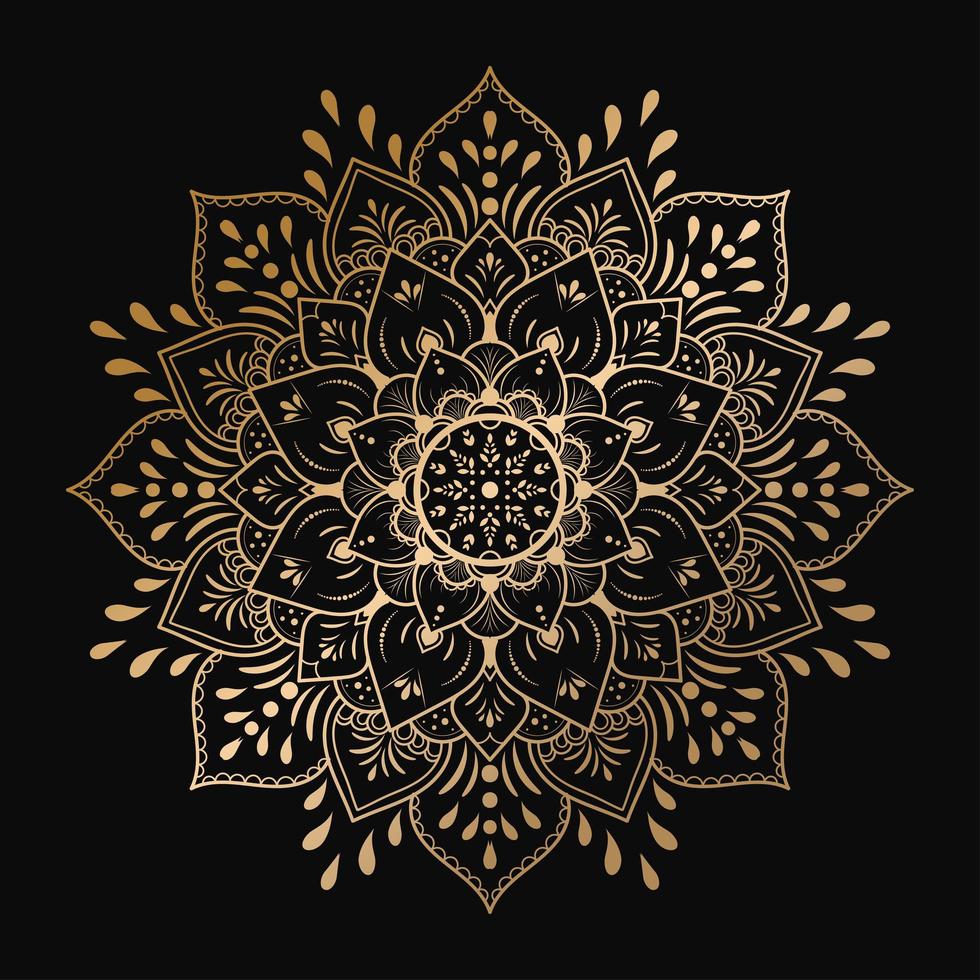 Gold luxury mandala design on black background vector