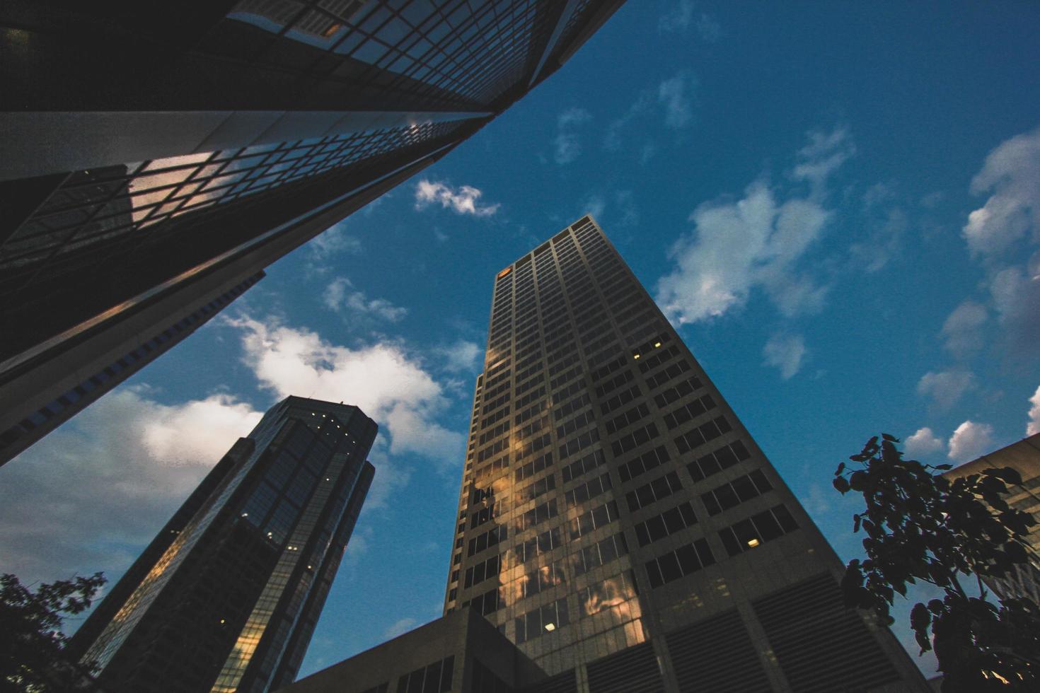 Low angle photography of high rise building photo