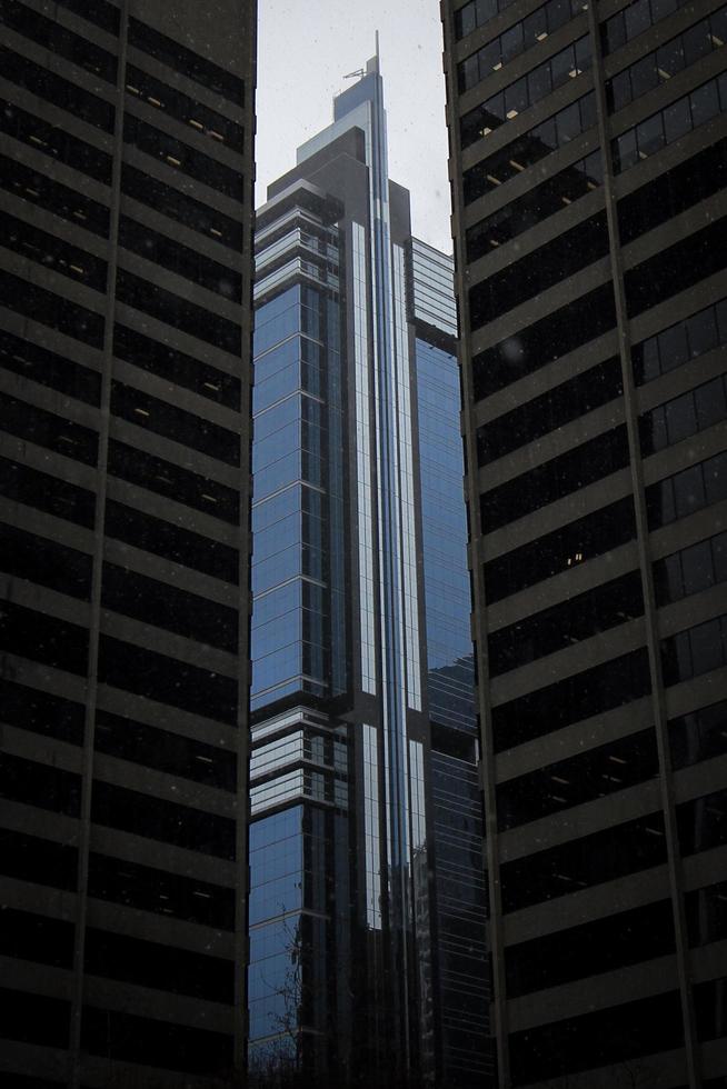 White and black high rise building photo