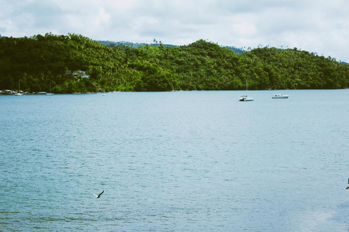 Green hills near the ocean photo