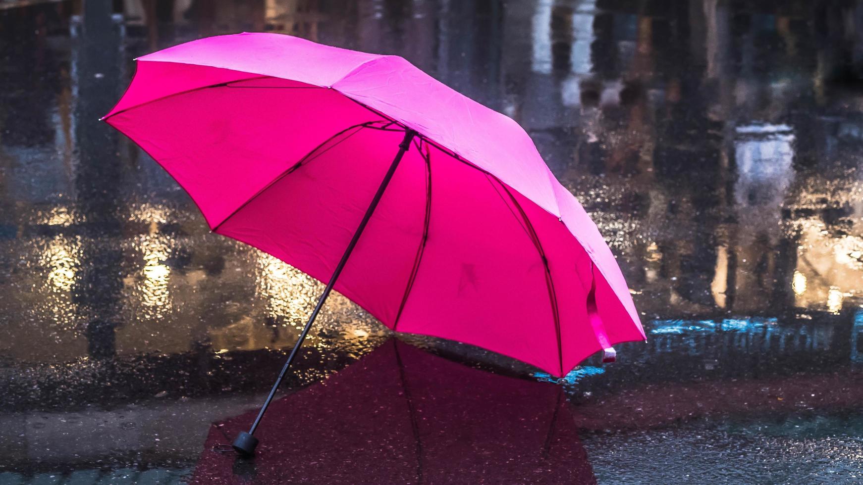 paraguas rosa después de una lluvia foto
