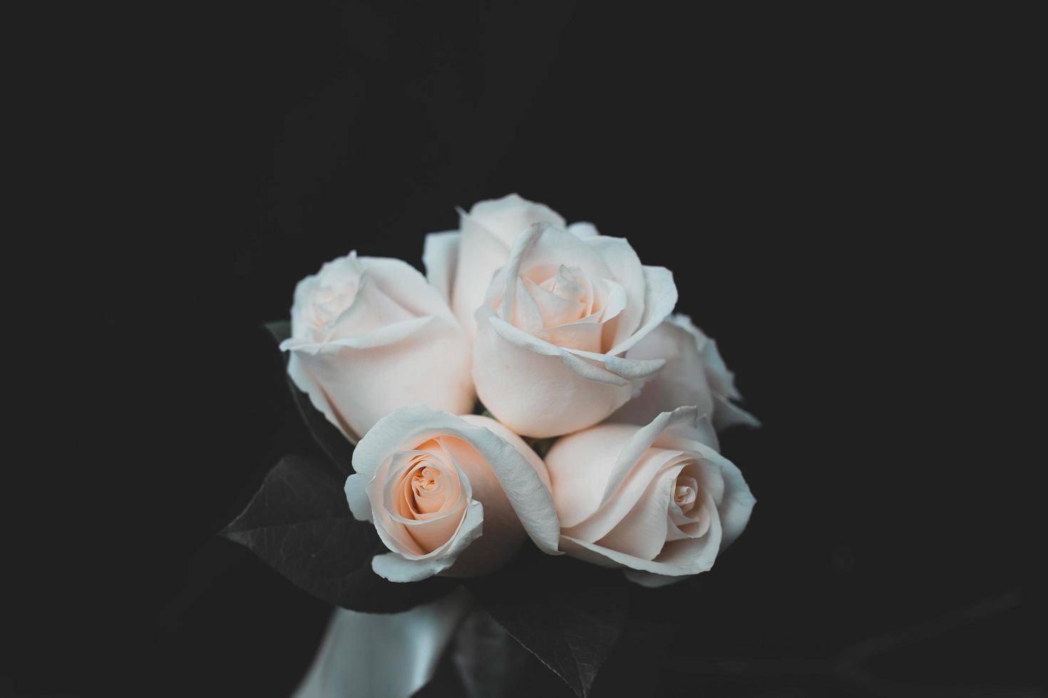 rosas blancas sobre una superficie negra foto