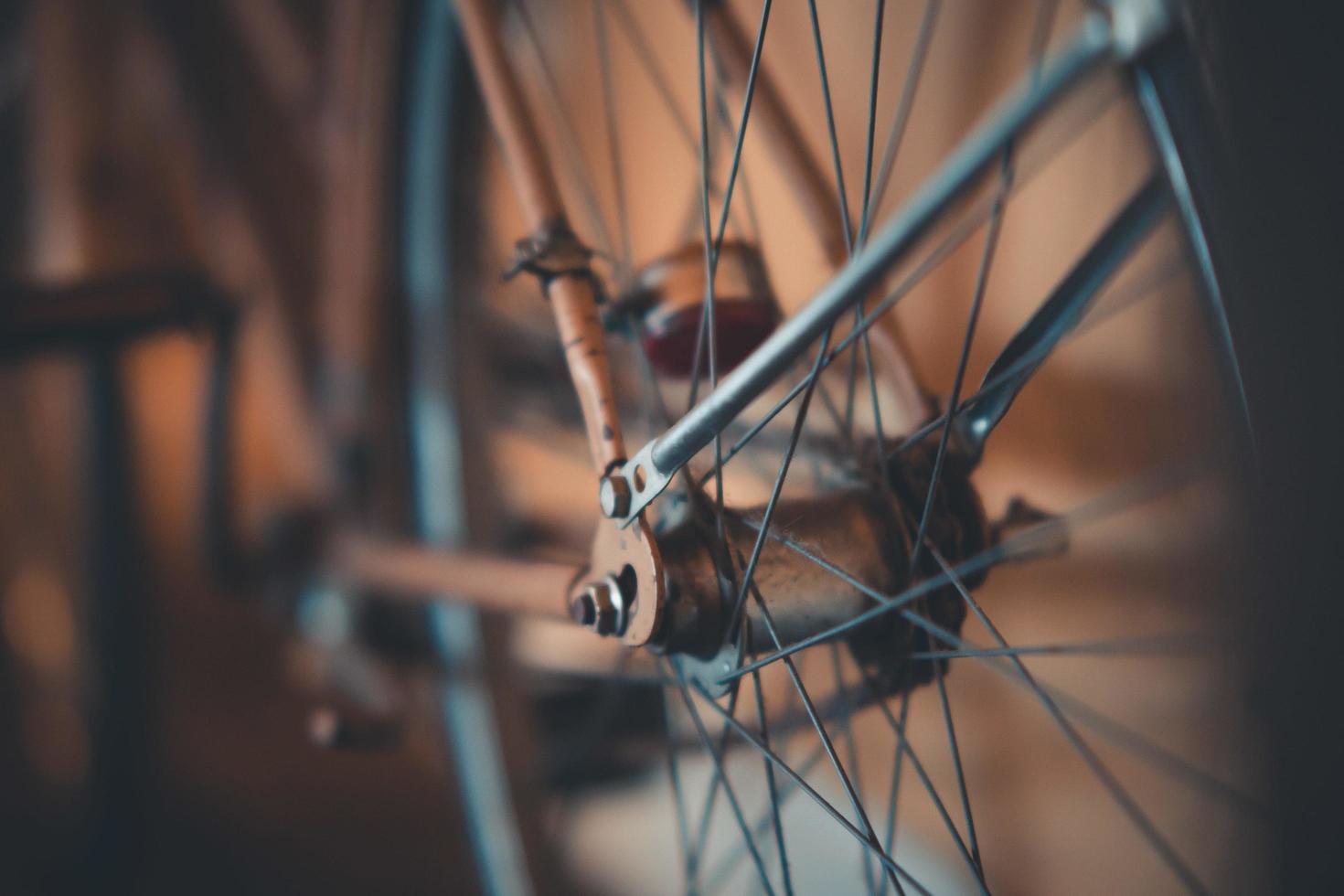 Close-up of a bicycle wheel photo