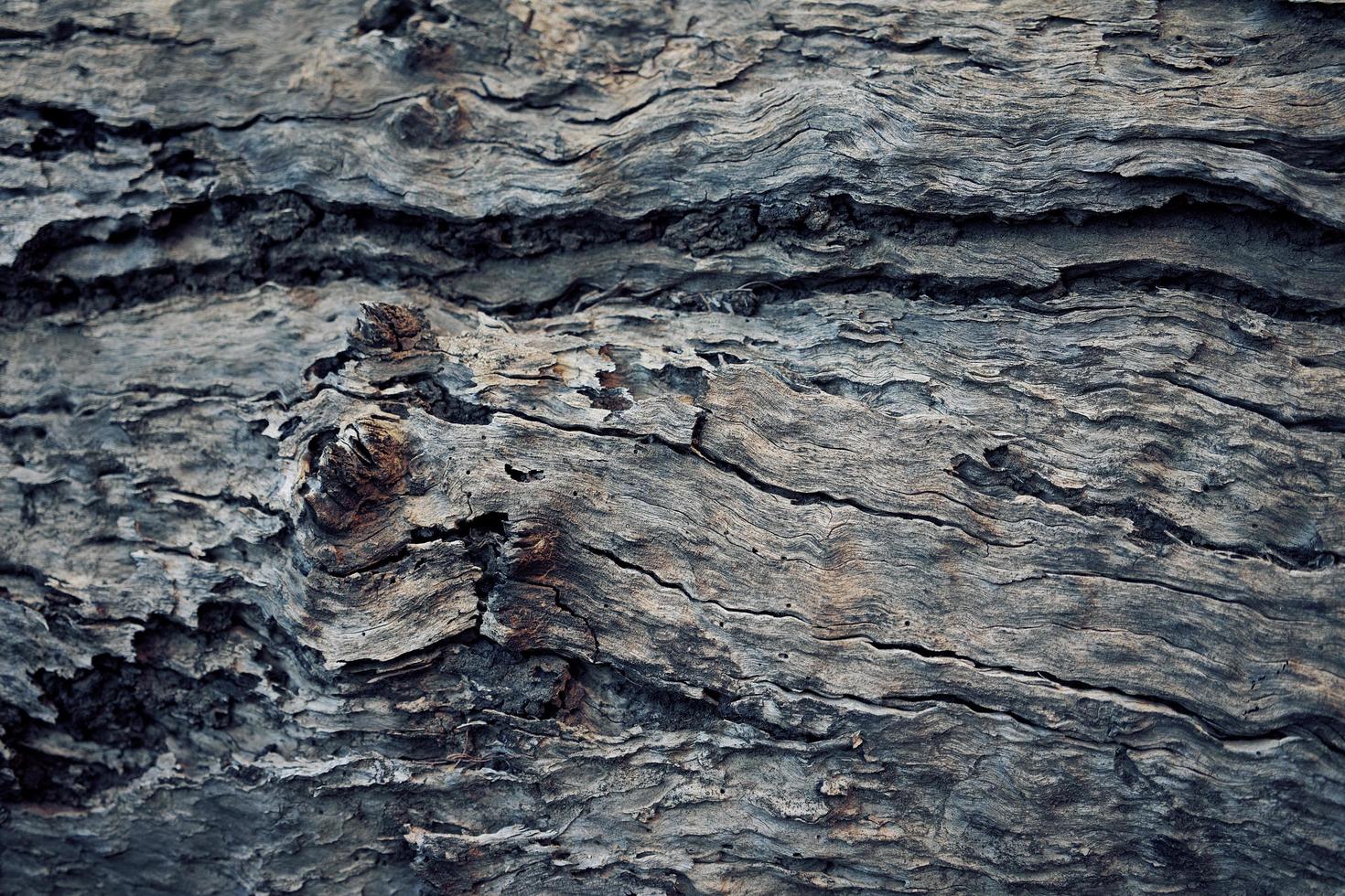 Brown wooden surface photo