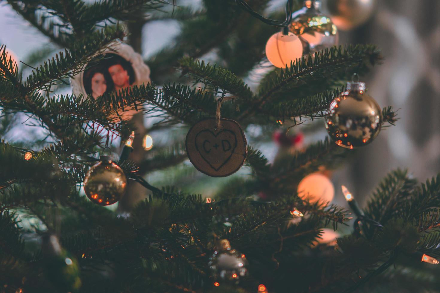 Close-up of a Christmas tree in a dark room photo