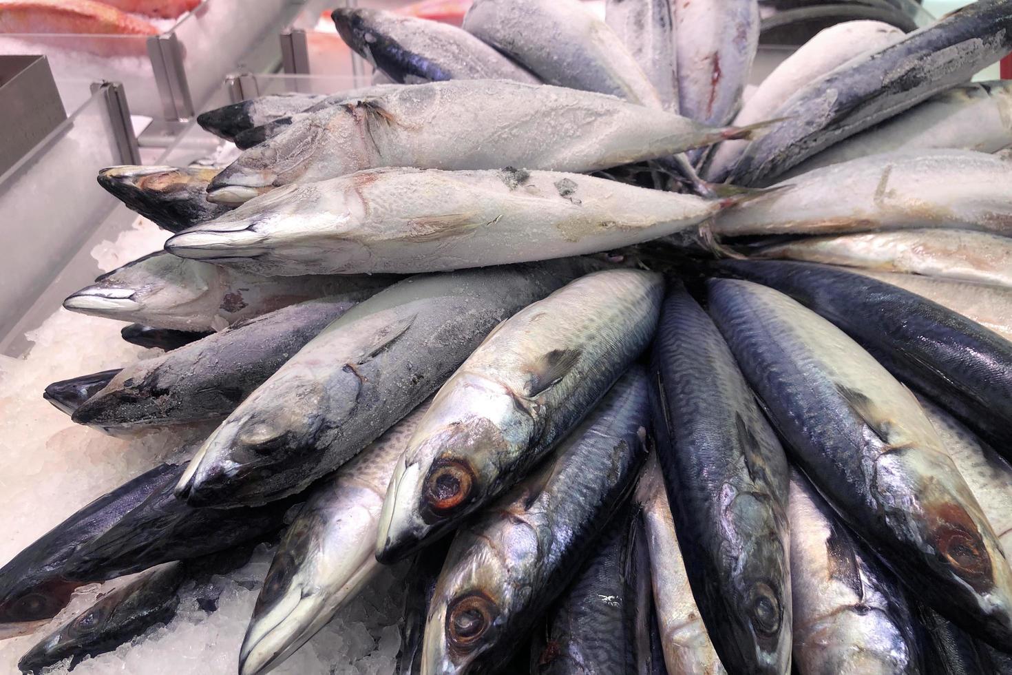 pescado fresco de caballa en el supermercado. foto