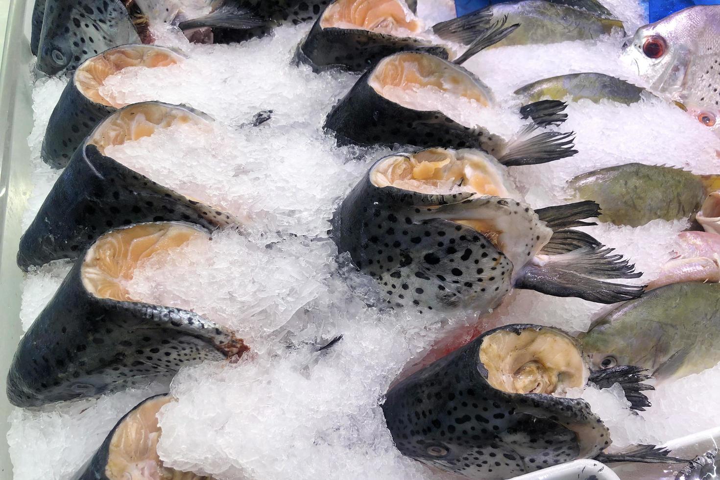 Cabezas de salmón congeladas en hielo vendidas en el supermercado. foto