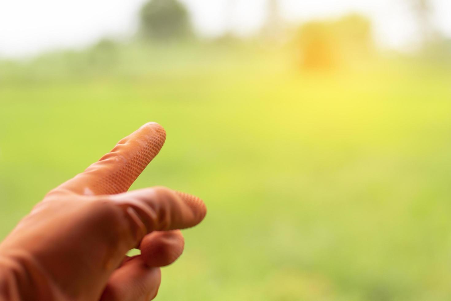 las manos apuntan hacia adelante. guantes de agricultores. foto