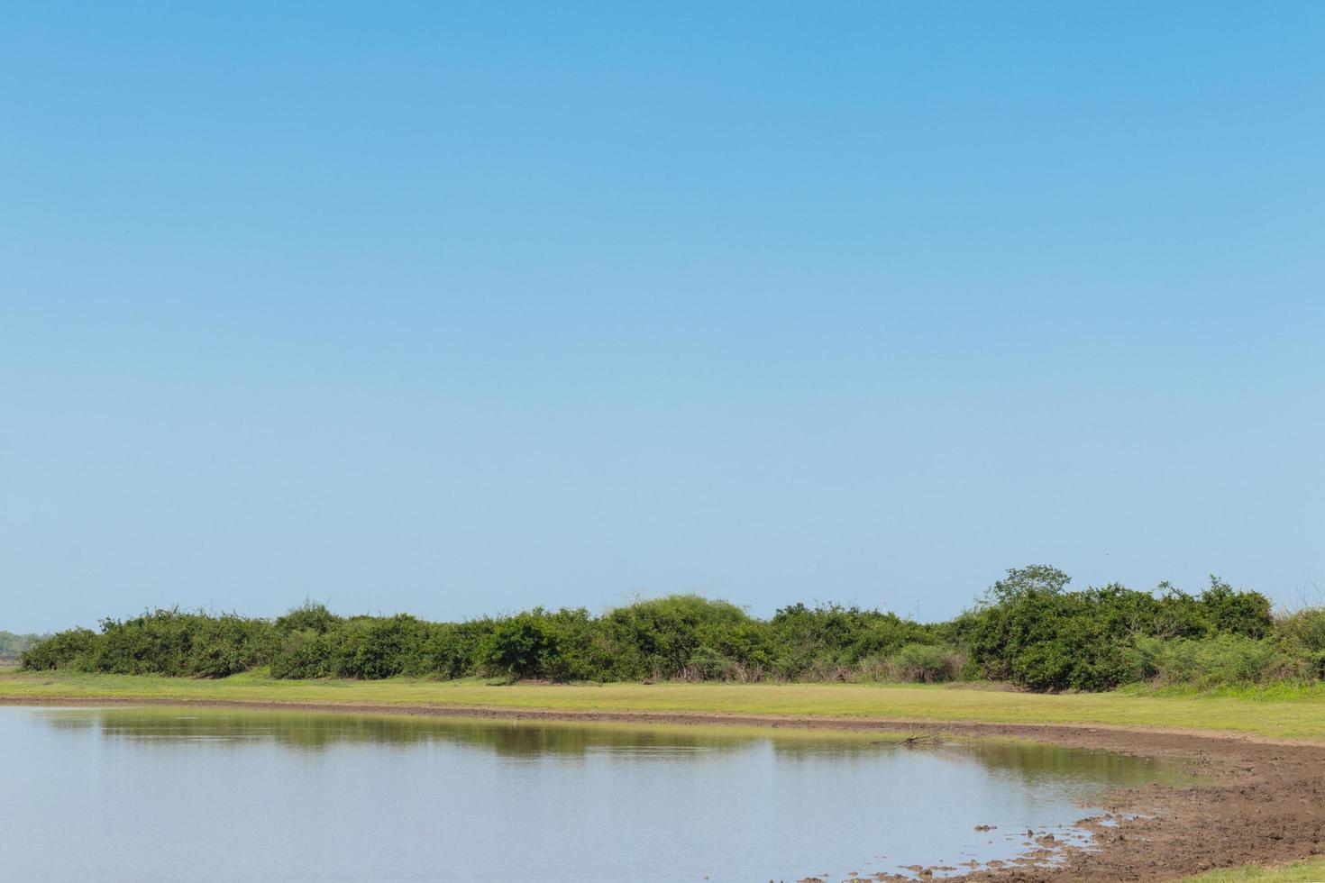 Lake during the day photo