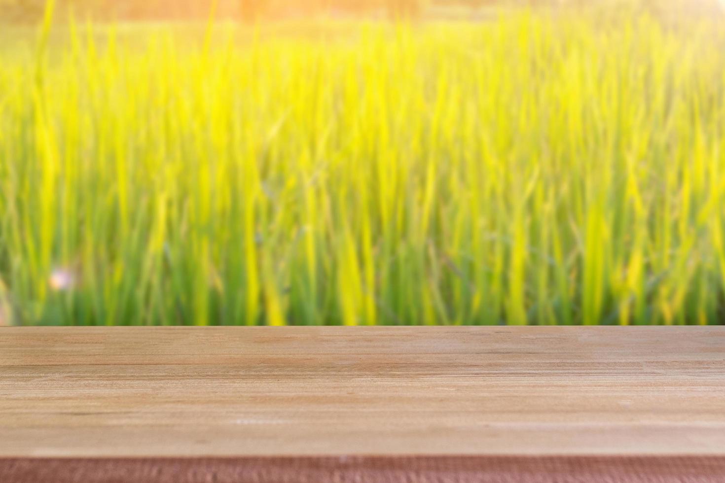 Wood blank table with rice field background. photo