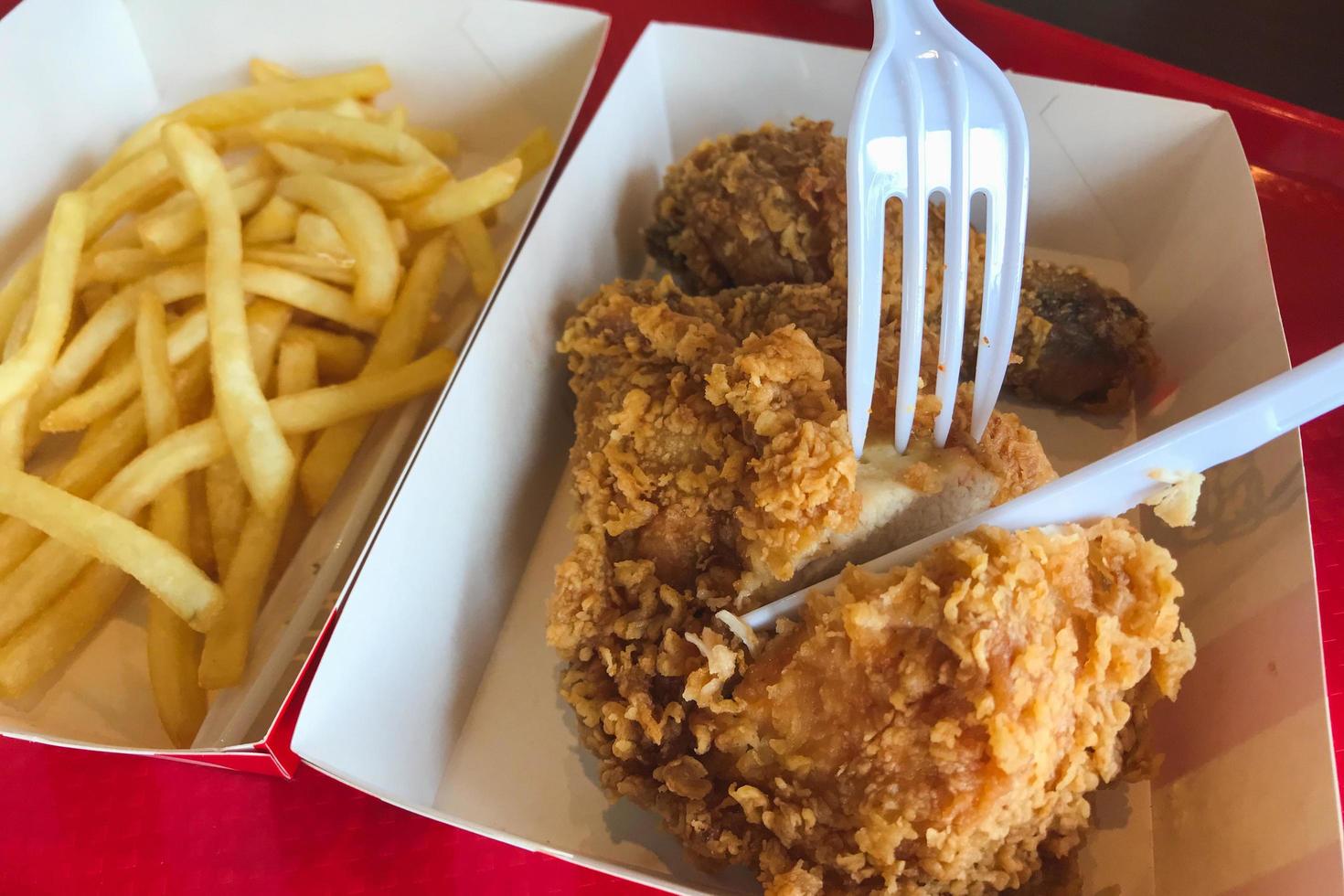 Eating fried chicken with french fries photo