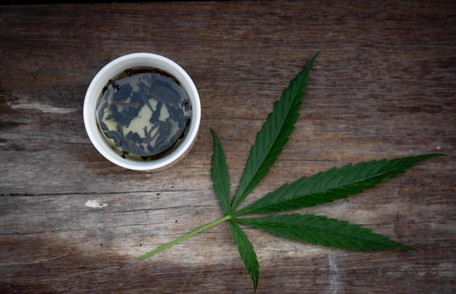 Green marijuana leaves and marijuana tea cup photo