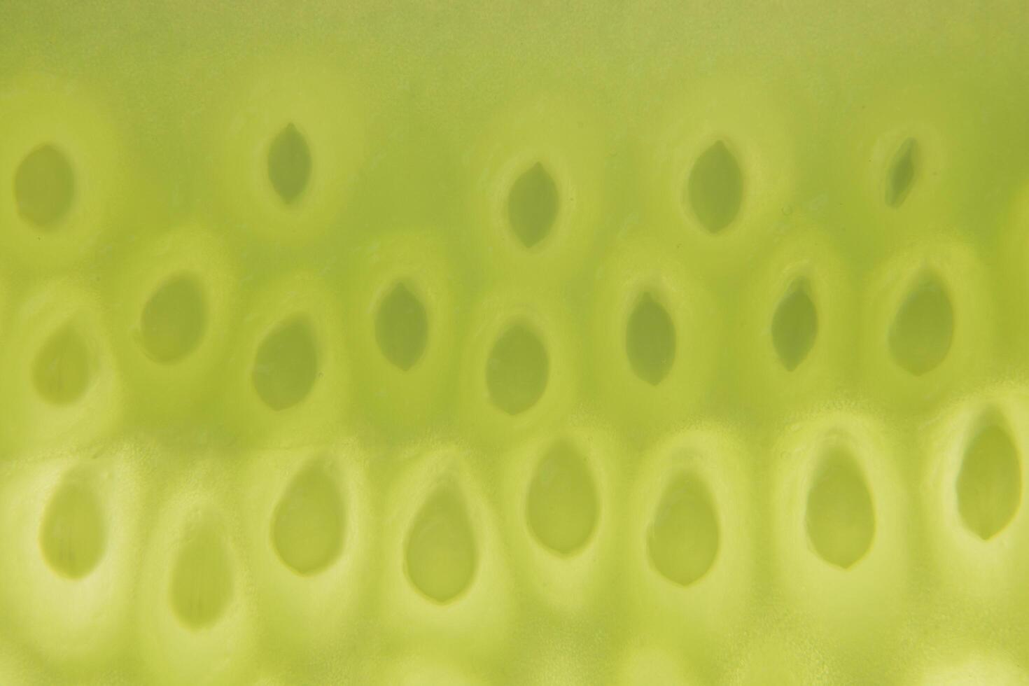 Cucumber seed pattern photo