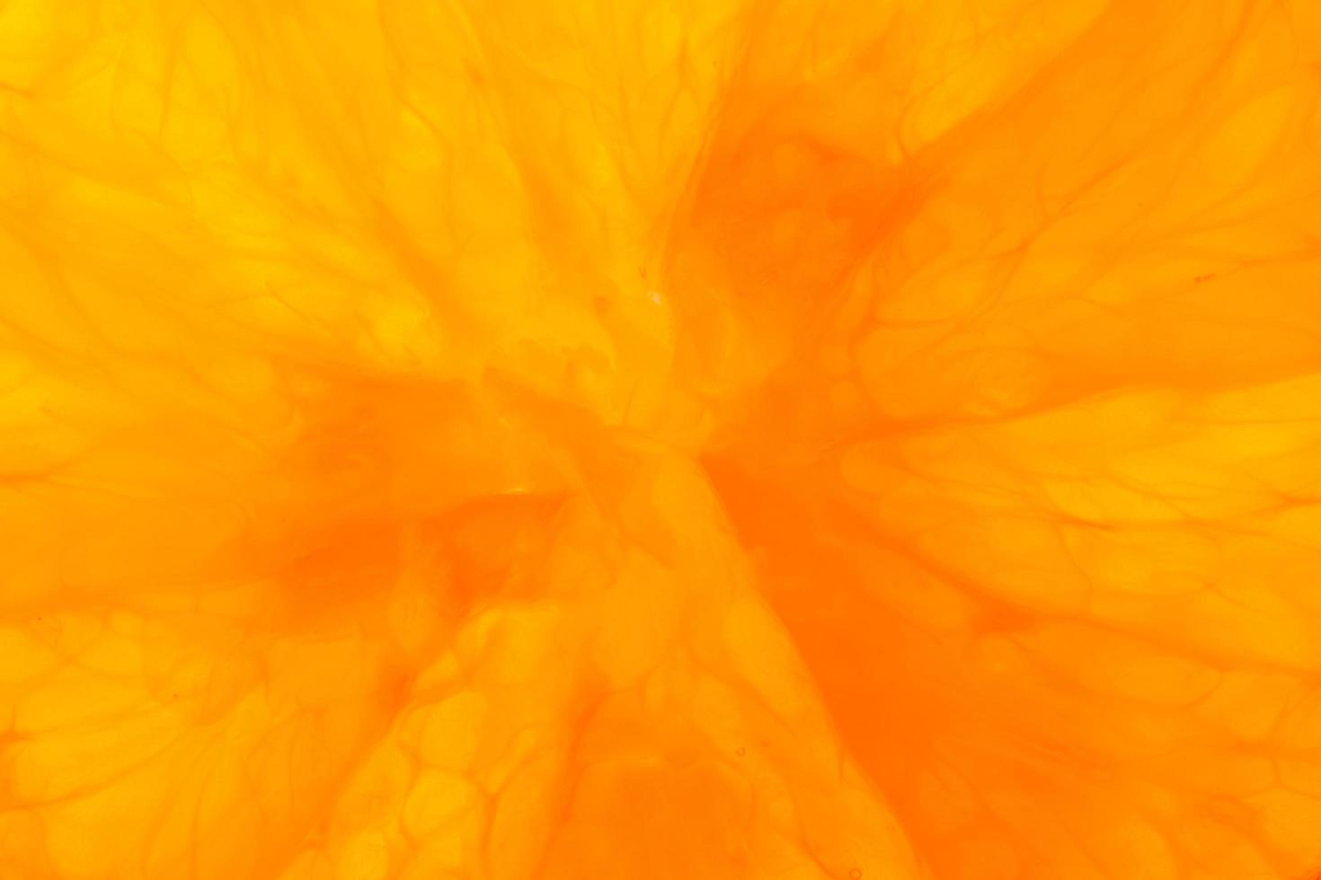 Citrus fruit macro photo