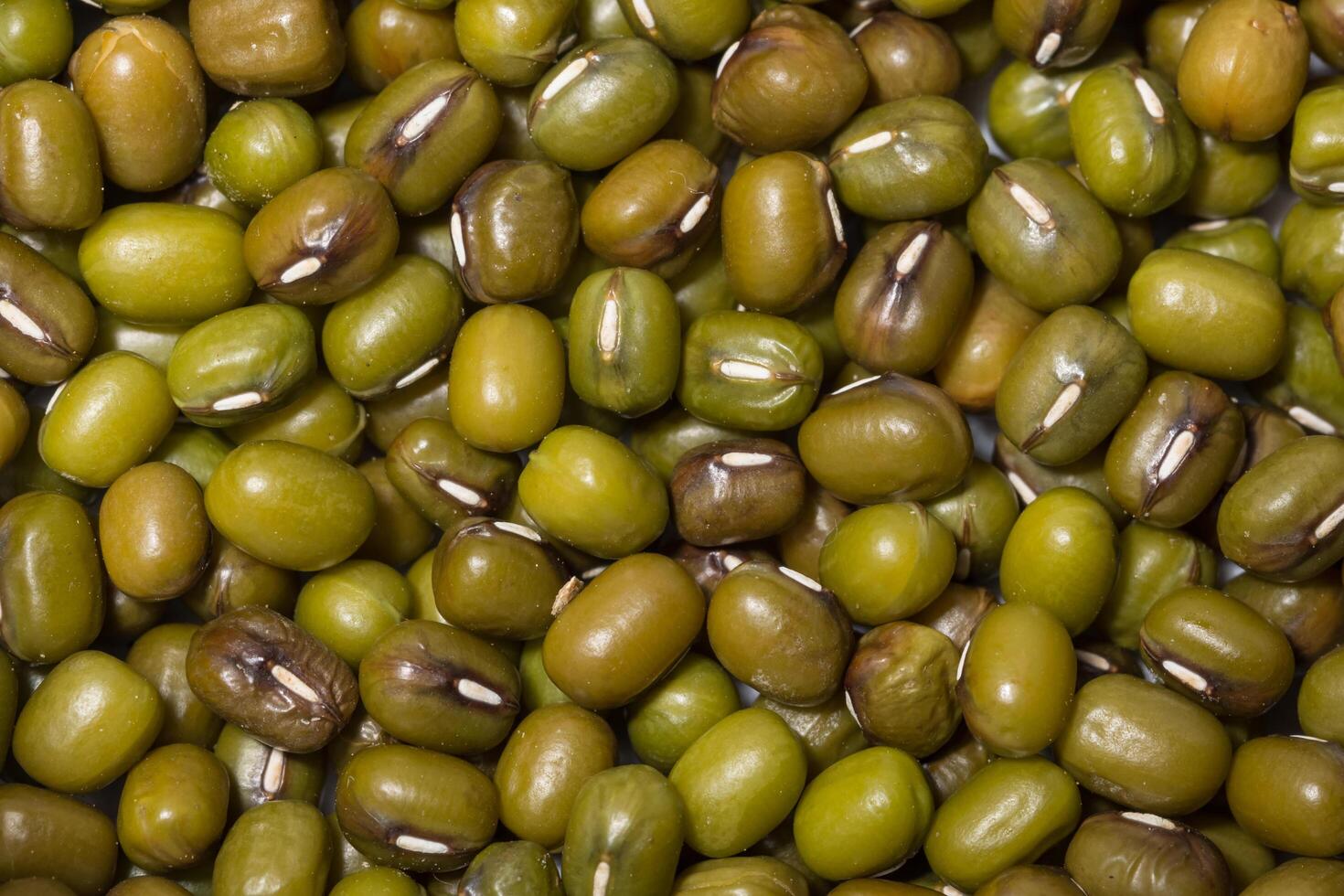 Mung bean background photo