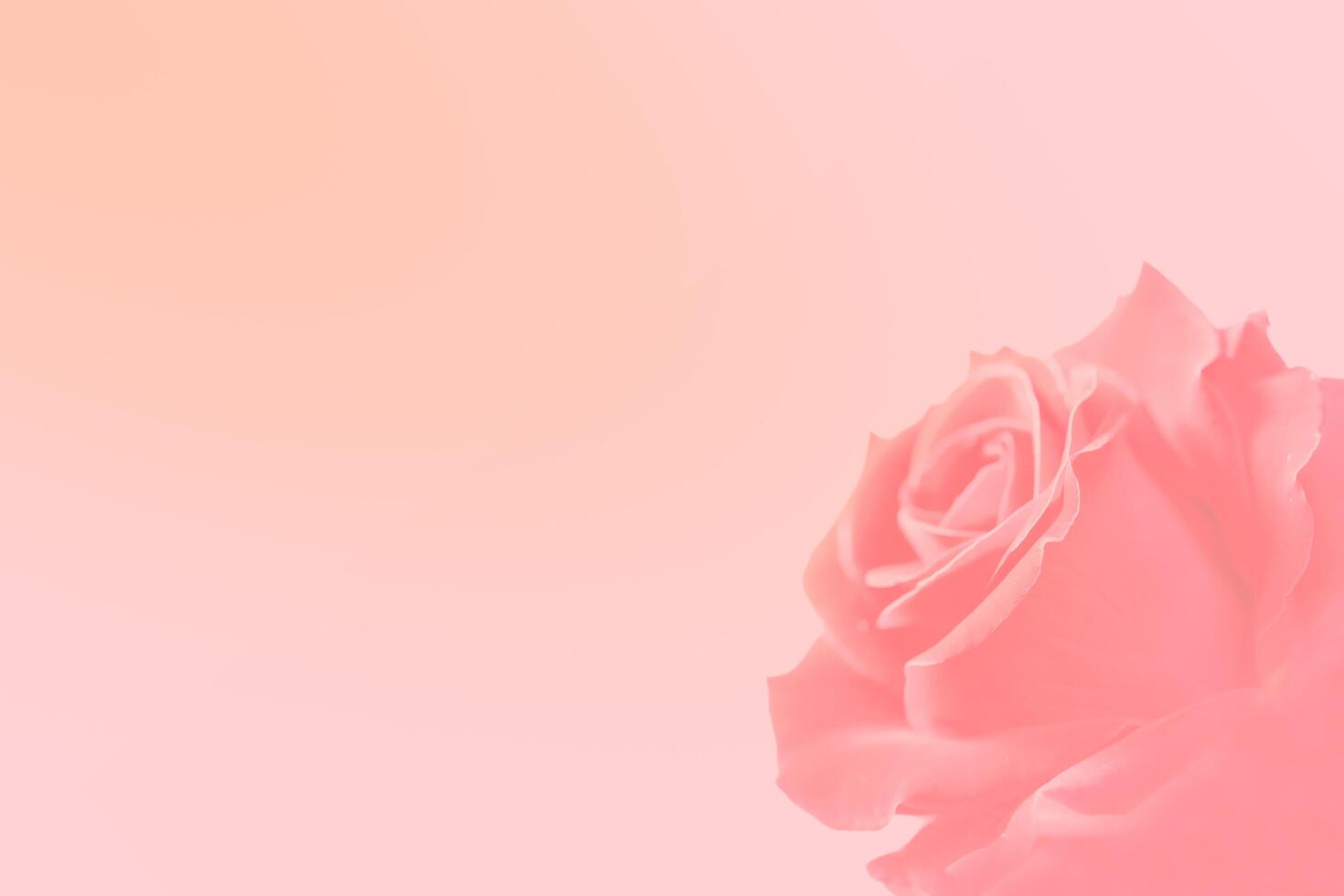 Valentine's Day Background photo