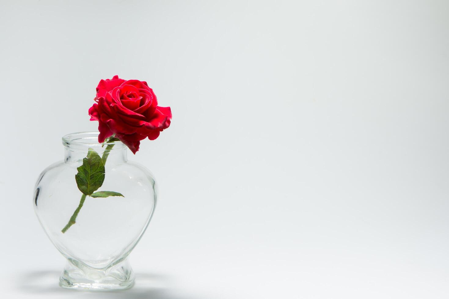 Red rose in a heart-shaped bottle photo