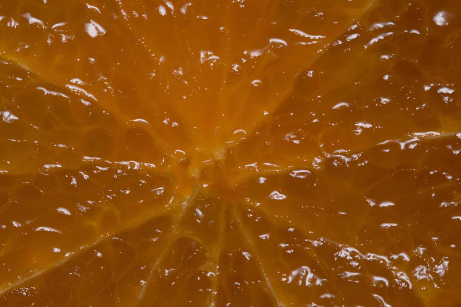 Citrus fruit macro photo