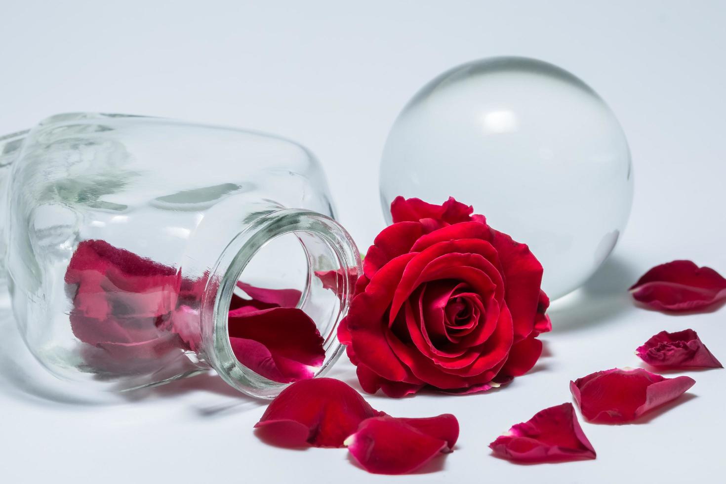 Rosas rojas y jarrón de vidrio sobre fondo blanco. foto