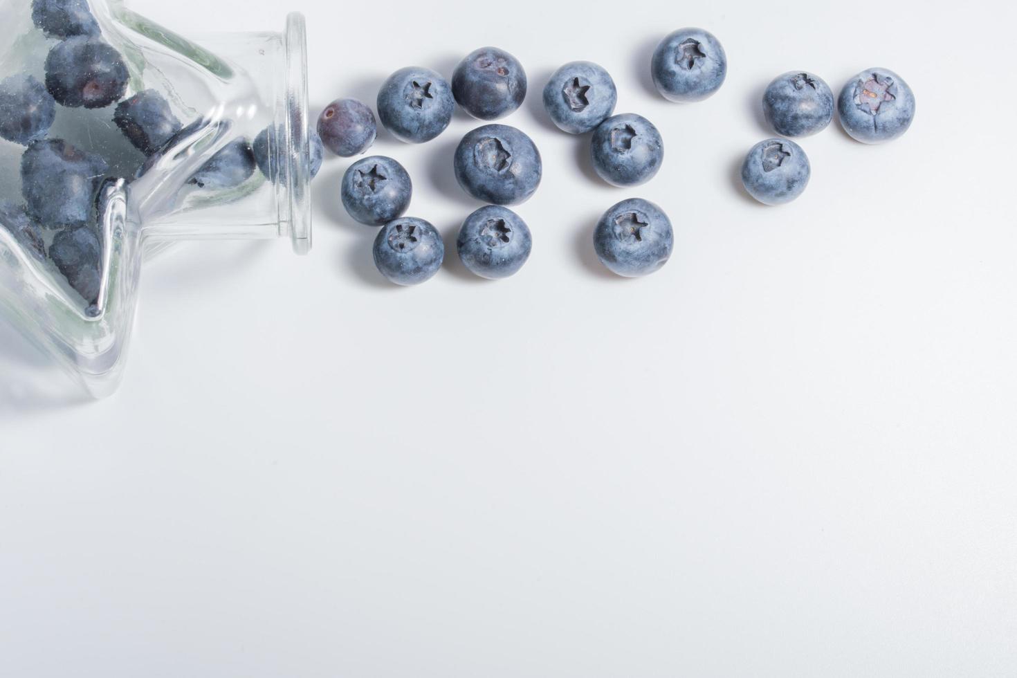 Blueberries on white background photo