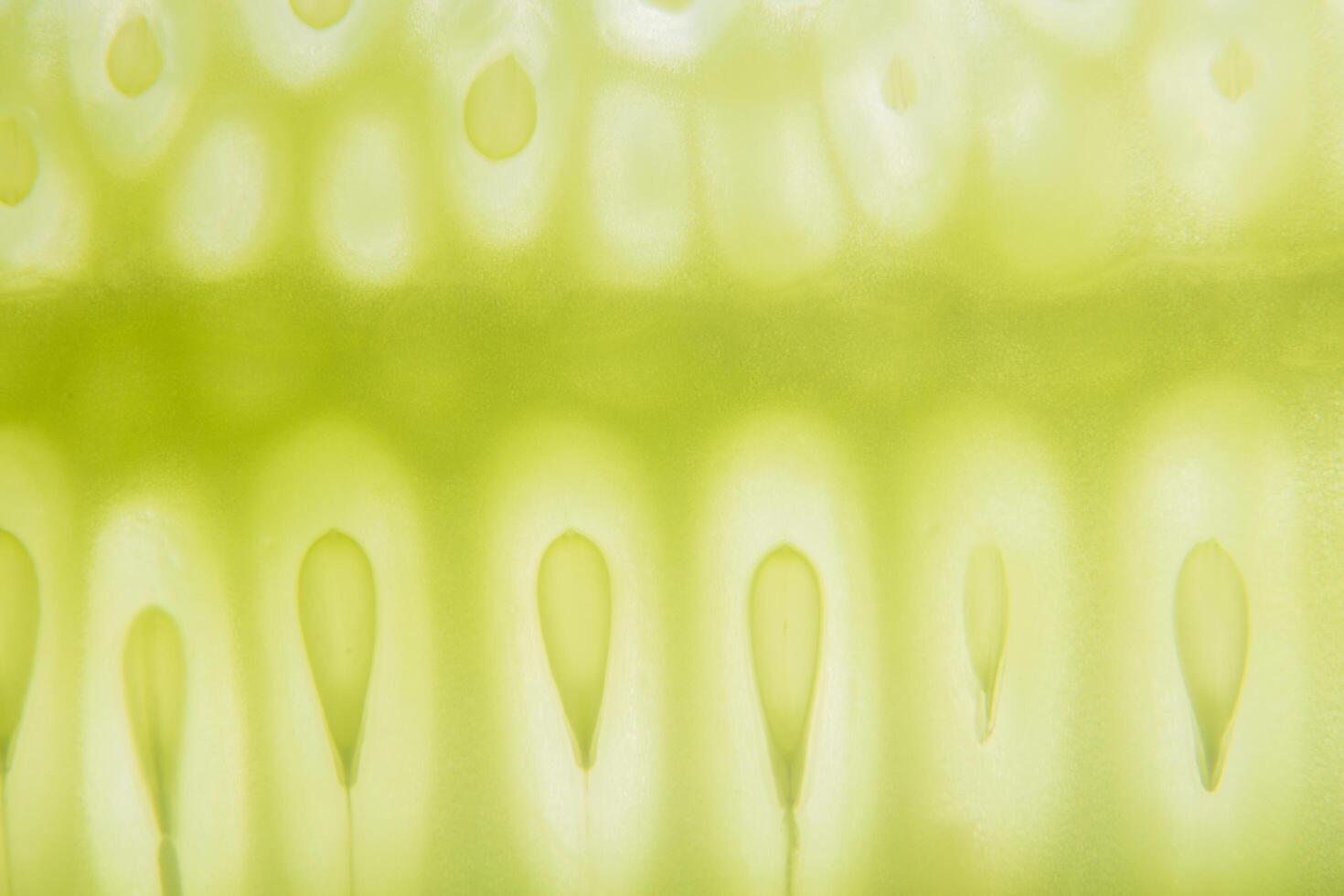 Cucumber seed pattern photo