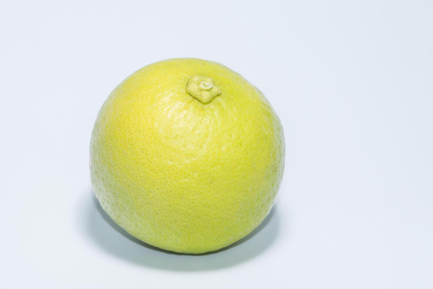 Lime on white background photo